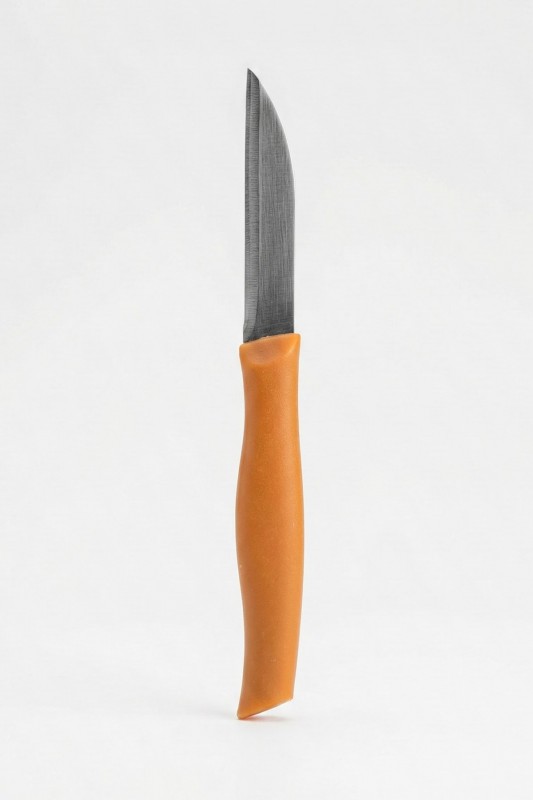 ASR 12'li Meyve Bıçağı Turuncu