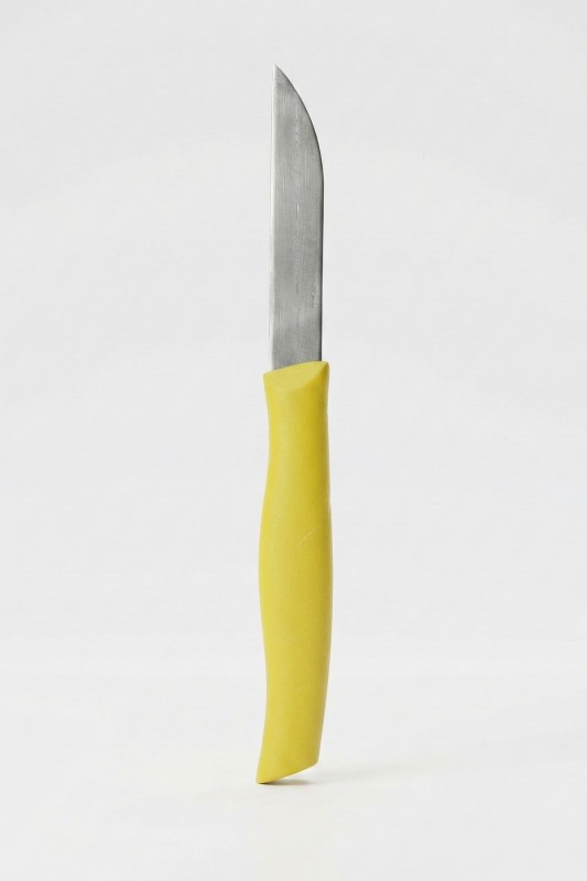 ASR 12'li Meyve Bıçağı Sarı
