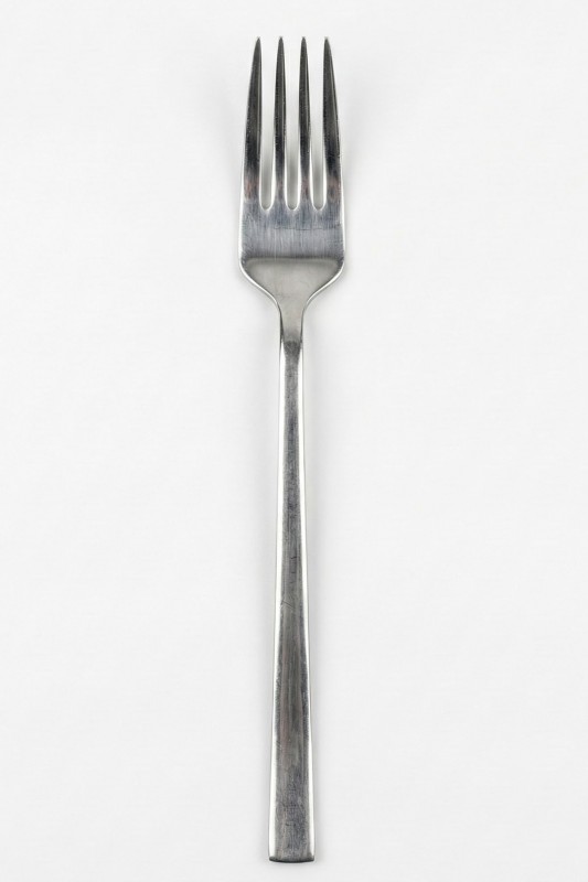 Tercan Okyanus 6'lı Yemek Çatalı