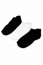 Erkek 3Lü Patik Çorap Dikişsiz 9312-2