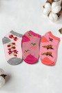Kız Çocuk  3 Lü Patik Çorap (3-4 Yaş) 9601-1