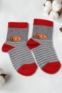 Kız Çocuk Çorap (3-4 Yaş) 9602-12