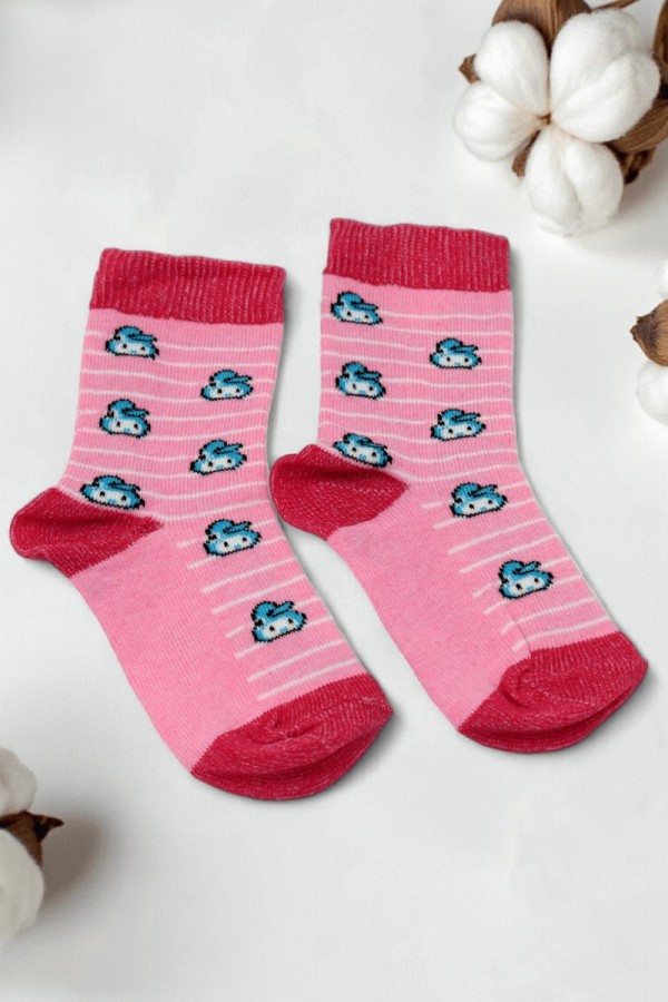 Kız Çocuk Çorap (3-4 Yaş) 9602-14