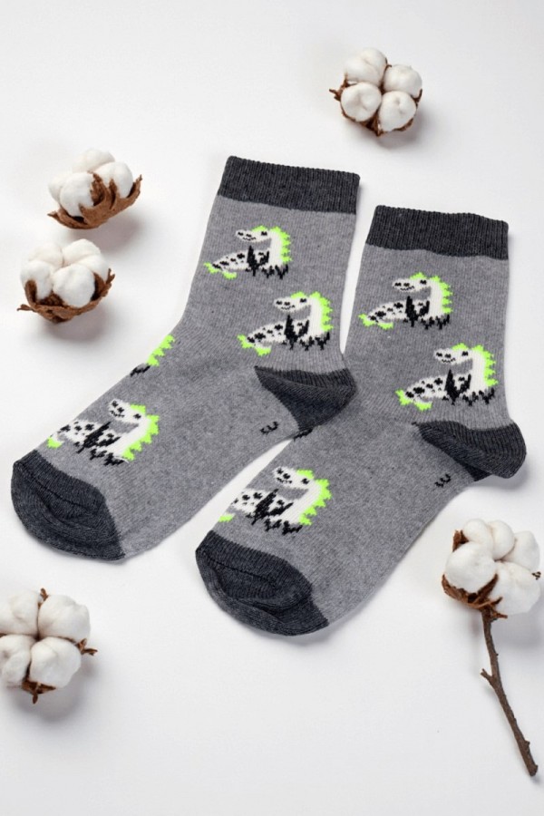 Erkek Çocuk Çorap (3-4 Yaş) 9405-2