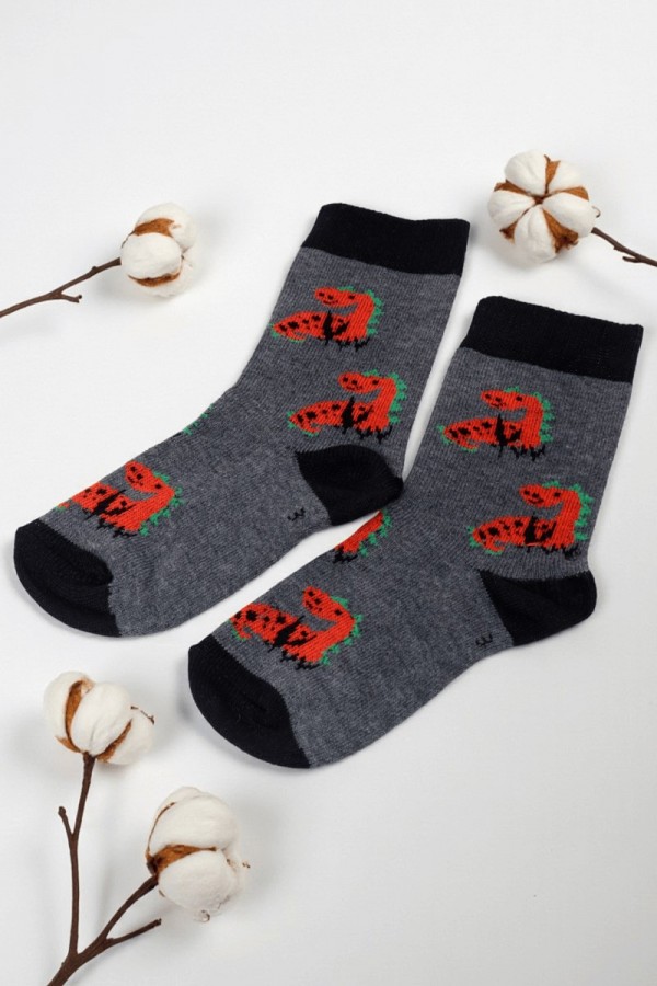 Erkek Çocuk Çorap (3-4 Yaş) 9405-3