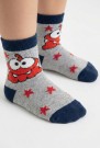 Desenli Çocuk Çorap (0-1 Yaş) 10000-4