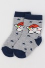 Desenli Çocuk Çorap (0-1 Yaş) 10004-1