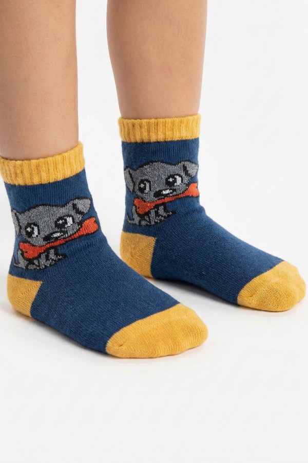 Desenli Çocuk Çorap (2-3 Yaş) 10206-4