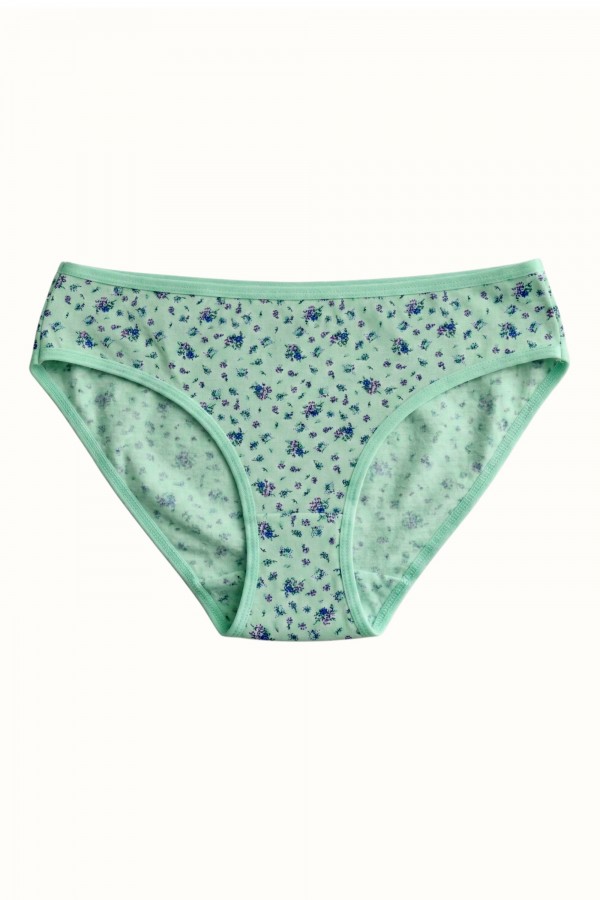 Berrak Kadın Desenli Bikini Külot 8664-9