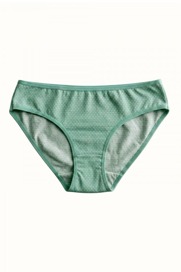 Berrak Kadın Desenli Bikini Külot 8664-6