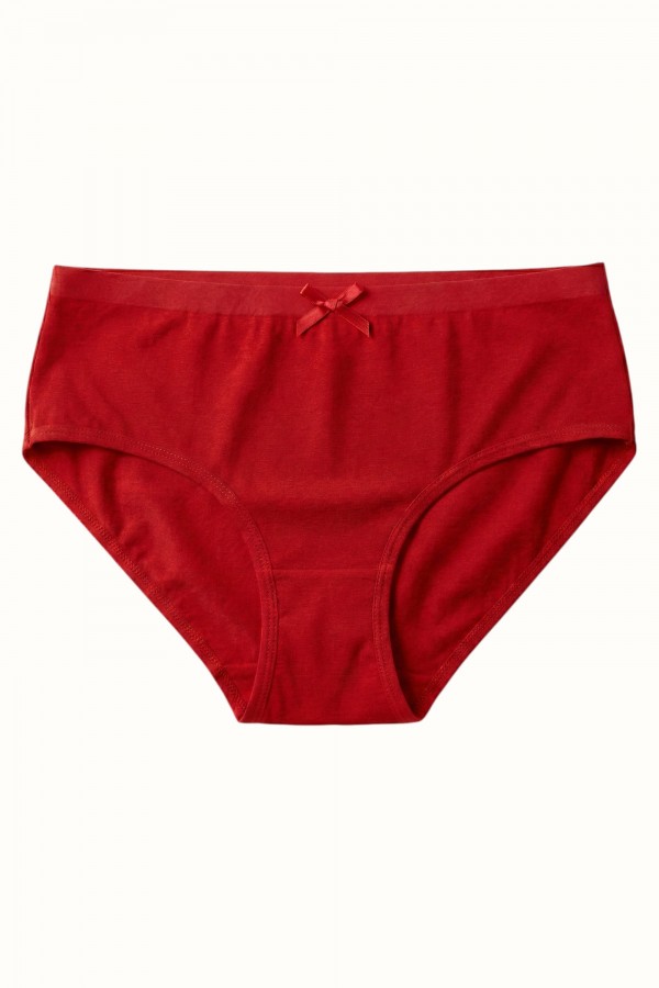 Güryıldız 22030 Elastan Külot 8658-4